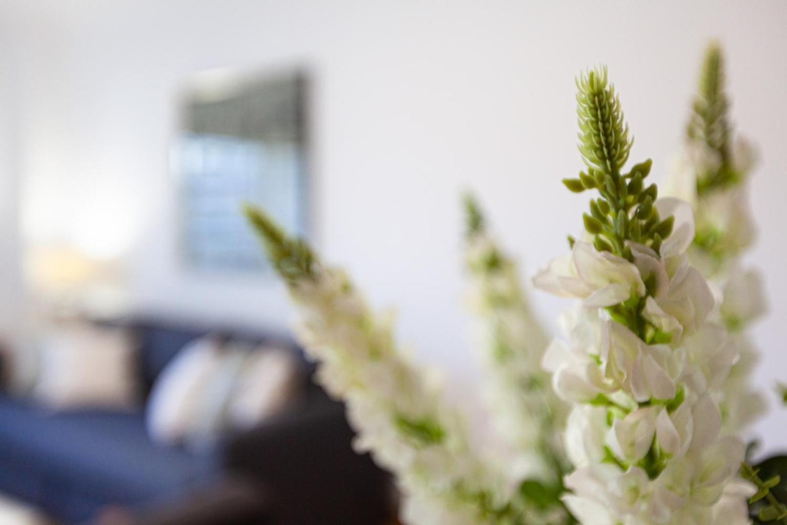 Apartamento Lisboa Sete Rios ภายนอก รูปภาพ
